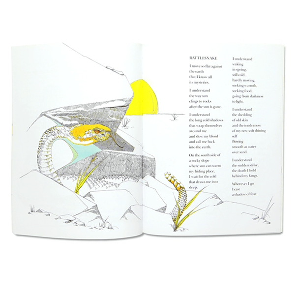 Desert Voices by Byrd Baylor and Peter Parnall - El Cosmico Provision Company